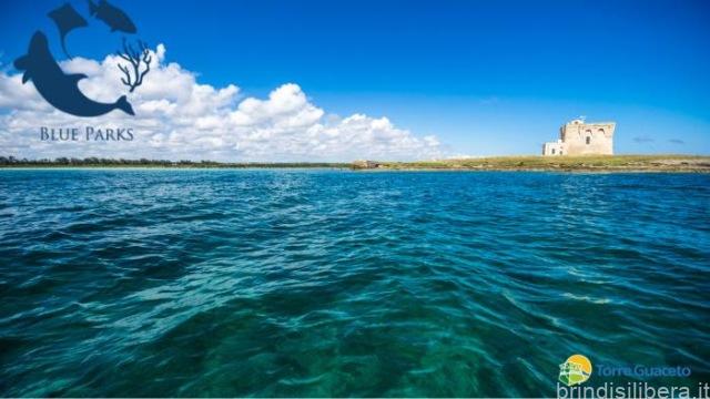 Torre Guaceto vince il Blue Park Award: premiate sei riserve nel mondo