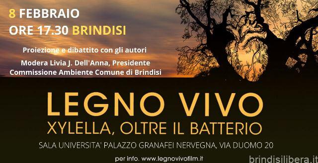 Gli autori di “Legno vivo. Xylella oltre il batterio” a Brindisi