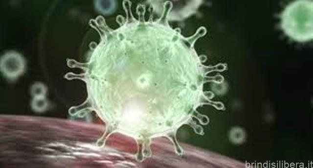 Corona Virus:aggiornamenti in merito all’evoluzione della situazione legata allo stato di emergenza dichiarato per l’epidemia globale da Covid-19.