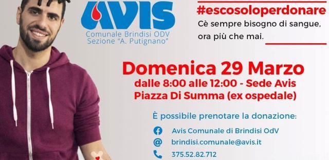 Avis Brindisi – raccolta sangue