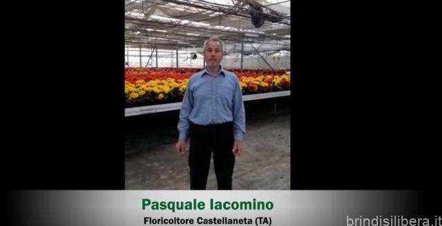 Coronavirus, l’appello degli agricoltori pugliesi: “Noi non ci arrendiamo, mangia italiano”