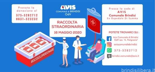 Raccolta sangue straordinaria Avis Brindisi