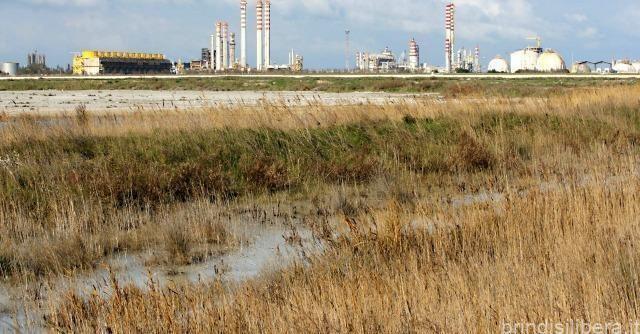 Versalis: a Brindisi fermata impianto di Cracking per perturbazioni sulla rete elettrica esterna al petrolchimico