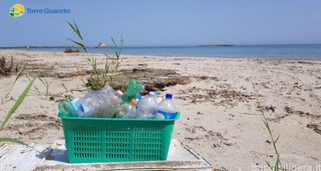 “A mano, a mano per Torre Guaceto: torna la pulizia di comunità”