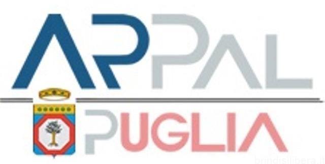 39° REPORT 2024 OFFERTE DI LAVORO AMBITO TERRITORIALE DI BRINDISI
