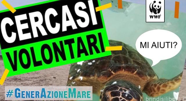 WWF Brindisi:CERCHIAMO VOLONTARI NATURALMENTE STRAORDINARI