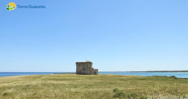 Sostenibilità e vigilanza: pronti i progetti per Torre Guaceto