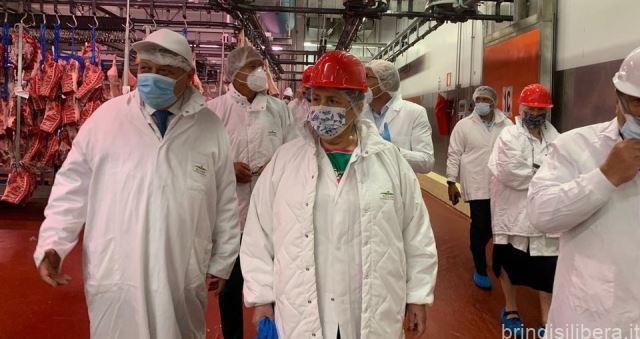 90 milioni per la zootecnia, CIA Puglia: “Sono state ascoltate le nostre proposte”