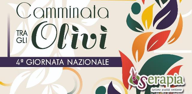 Fasano (Br).Camminata tra gli Olivi