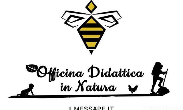 Arriva un’associazione che pone le api al centro dell’educazione e della  sostenibilità ambientale.