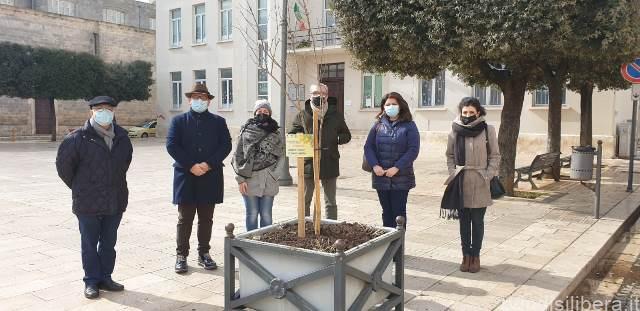 San Michele Salentino (Br).UN MELOGRANO IN PIAZZA MARCONI PER LA GIORNATA CONTRO IL CANCRO INFANTILE
