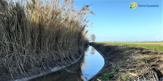 BRINDISI.Contratto di Fiume del Canale Reale: convocata Assemblea della Comunità di Fiume per il 5 Dicembre