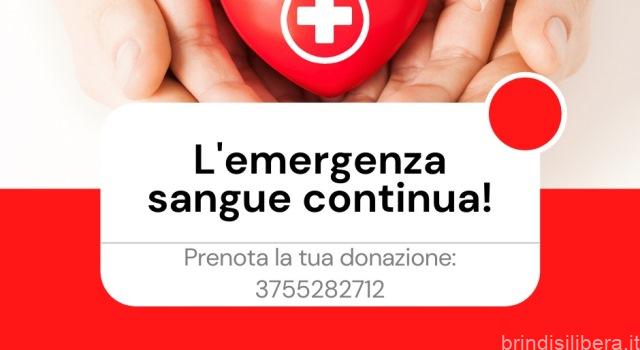 BRINDISI.Continuano gli appelli del Centro Trasfusionale dell’ospedale “Perrino” per compensare le continue richieste di sangue