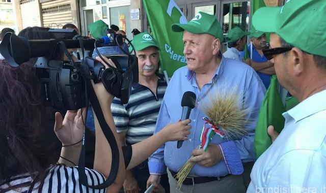 Grano, Cia Puglia: “Navi dall’estero e speculazione per tenere bassi i prezzi”