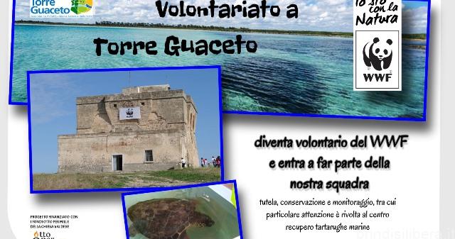 VOLONTARIATO A TORRE GUACETO