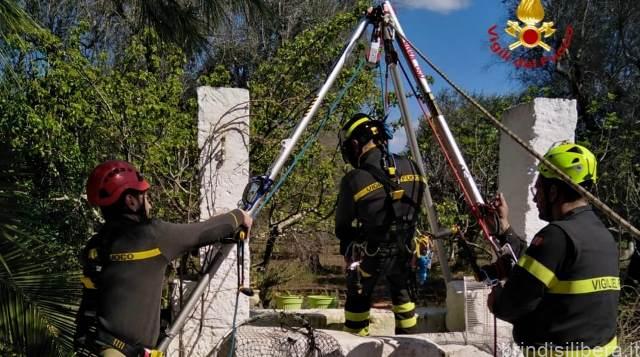 Oria (Br).Gatto cade in un pozzo profondo circa 8 metri: salvato dai vigili del fuoco.