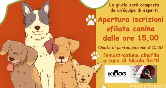 Fasano (Br).Quattro zampe nel cuore, il 22 maggio microchippatura gratuita in villetta San Francesco