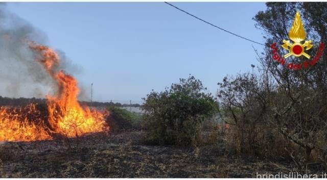 BRINDISI. Ancora un’incendio al bosco dei lucci