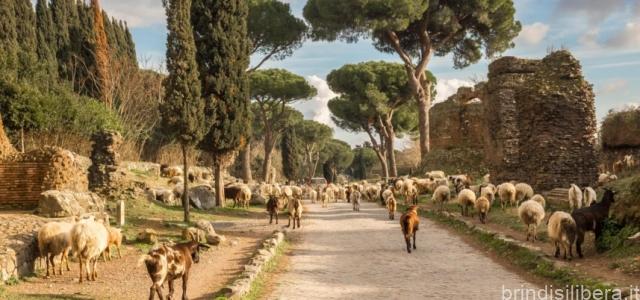 Il 23 settembre Brindisi ospita l’incontro con il Ministero della Cultura, verso la candidatura della Via Appia a Patrimonio Unesco
