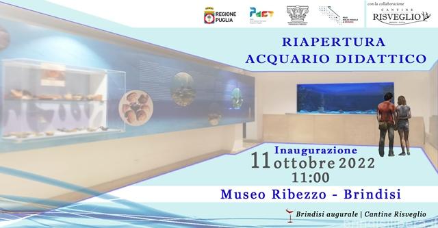 Appuntamenti culturali al Polo BiblioMuseale di Brindisi – Settimana dal 9 al 14 ottobre.