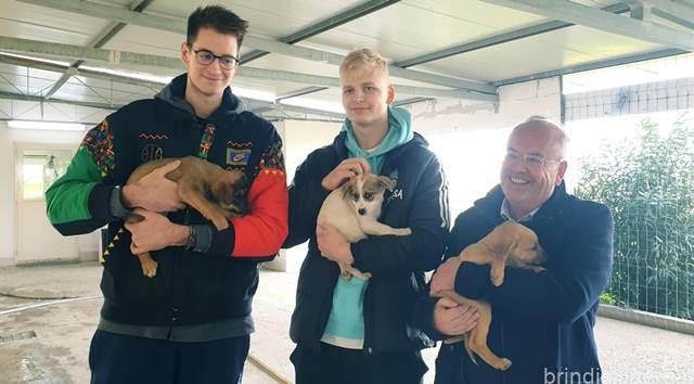 I giocatori della Happy Casa Brindisi promuovono l’adozione degli animali del canile di Brindisi