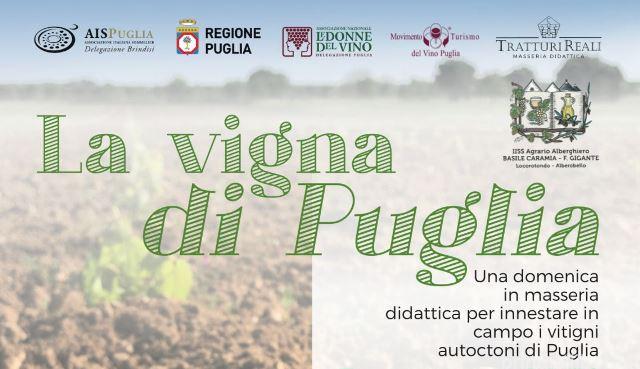 SOMMELIER EVENTO DOMENICA 5 MARZO VILLA CASTELLI (BRINDISI)