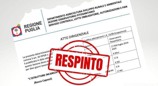 XYLELLA: Altre 3 sentenze del Tar fermano gli abbattimenti. Gli ulivi positivi, anche dopo anni, continuano a stare bene.