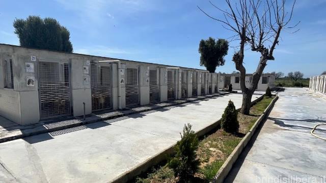 Riapre il Canile Rifugio di Mesagne