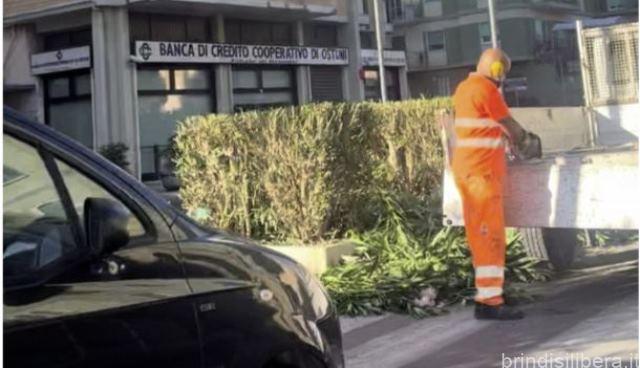 BRINDISI.PISTA CICLABILE VIALE ALDO MORO – ASS. ELMO: LA PISTA SARA’ DELOCALIZZATA PER COLLEGARE SANT’ELIA E LA ROSA