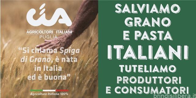 Grano, tutti al porto di Bari: la protesta dei cerealicoltori di Puglia