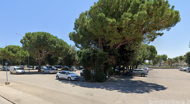 Mesagne (Br).“Fiera di Novembre”, torna l’atteso evento ma cambiano i luoghi