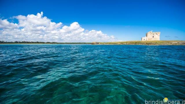 Stop alla pesca per un mese: i pescatori di Torre Guaceto rinunciano all’attività dentro e fuori l’area protetta