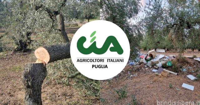 Sicurezza nelle campagne: le soluzioni per uscire dall’emergenza