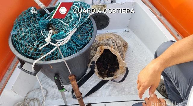 BRINDISI.GUARDIA COSTIERA: “CONTRASTO ALLA PESCA ILLEGALE, SEQUESTRATI RICCI DI MARE E SPECIE ITTICHE”