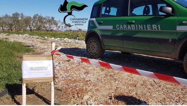 TITOLARE DI AZIENDA DENUNCIATO DAI CARABINIERI FORESTALI  CEGLIE MESSAPICA: DISSODAMENTI ABUSIVI IN ZONA                       TUTELATA DAL VINCOLO PAESAGGISTICO  SEQUESTRATA L’ AREA A MACCHIA MEDITERRANEA