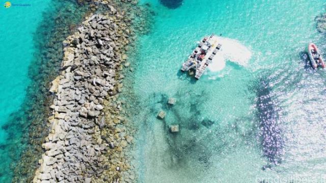 “Mai più pesca a strascico: impiantato a Torre Guaceto il sistema che strappa le reti”