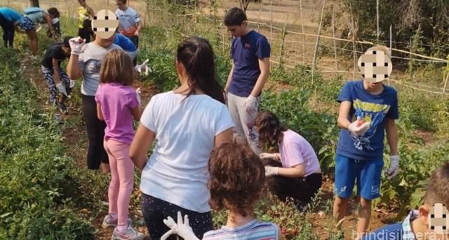 Consorzio BR4, avviso pubblico per l’organizzazione dei laboratori estivi