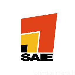 SAIE – Efficienza energetica in Puglia: il 57% degli edifici certificati nel 2023 rientra nelle classi peggiori (F e G). Foggia e Brindisi tra le province peggiori.