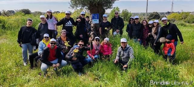 Dalla piantumazione al bosco didattico: i Giovani Soci della Banca di Credito Cooperativo di Ostuni seminano futuro