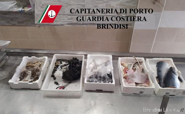 CAPITANERIA DI PORTO – GUARDIA COSTIERA BRINDISI:  SANZIONATO TITOLARE DI UNA PESCHERIA PER MANCATA ETICHETTATURA DI PRODOTTO ITTICO.