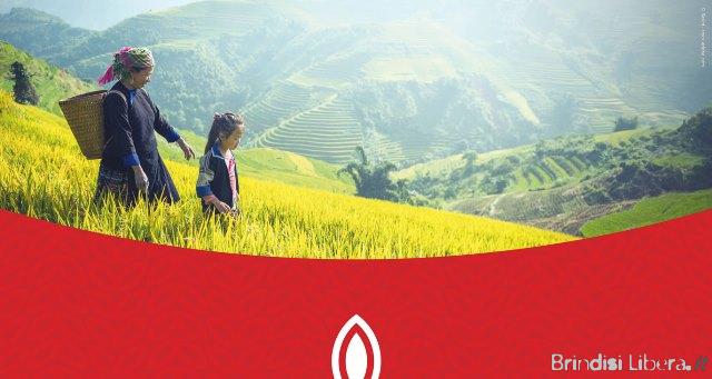 UN CHICCO DI RISO CAMBIA IL MONDO: NEL FINE SETTIMANA TORNA LA CAMPAGNA DI FOCSIV PER IL DIRITTO AL CIBO