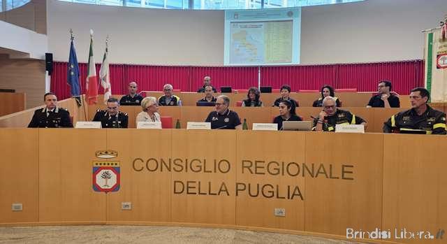 INCENDI BOSCHIVI IN PUGLIA, ILLUSTRATO IL PIANO REGIONALE 2025