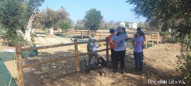 MESAGNESTATE DOMENICA 27 LUGLIO: CULTURA, MUSICA E SOLIDARIETÀ