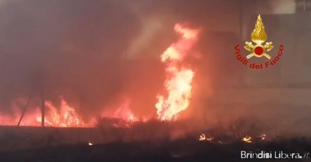 BRINDISI-Incendio alle Saline, distrutta parte della macchia mediterranea: indagini in corso sulle cause