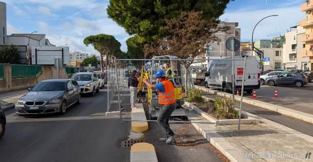 “Eureka”. Finalmente si smonta la pista ciclabile di viale Aldo Moro. Plauso di Confesercenti.