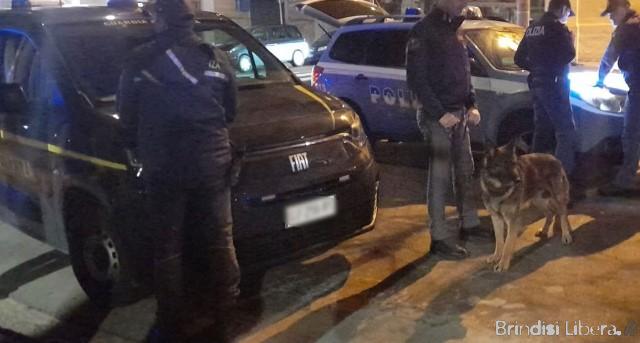 Brindisi, controlli straordinari: centinaia di persone e veicoli ispezionati nel weekend