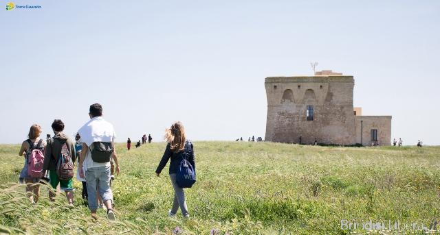 Diventare protagonisti dell’evoluzione sostenibile del territorio: aperte le iscrizioni al forum CETS di Torre Guaceto