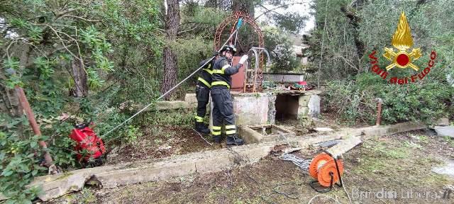 Brindisi, operazione congiunta Carabinieri,Vigili del Fuoco in Contrada Formica: recuperate targhe di auto rubate in una cisterna