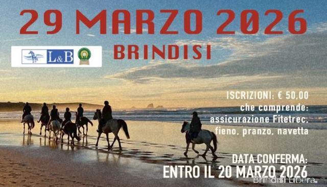 A cavallo tra natura e tradizione: a Brindisi la prima tappa FITETREC sul Canale Reale
