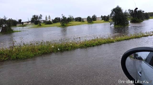 Puglia allagata, agricoltura sott’acqua: gravi danni al comparto primario
